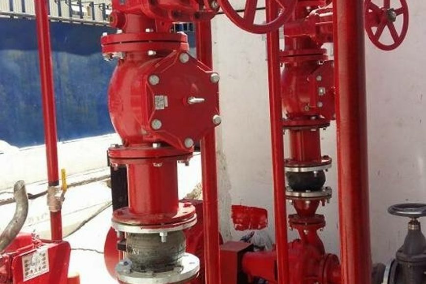 WhatsApp Image 2021-05-05 at 10.43.08 PM (1)