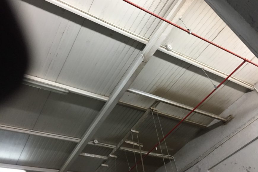 WhatsApp Image 2021-05-05 at 10.43.09 PM (1)